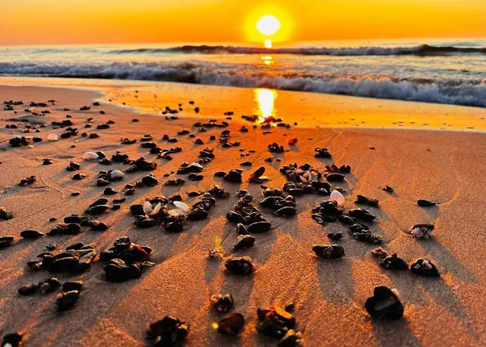 420 Port Basen & Jacuzzi *